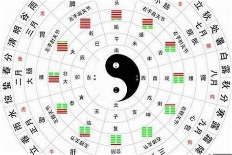 金木水火土数字|金木水火土五行数字表